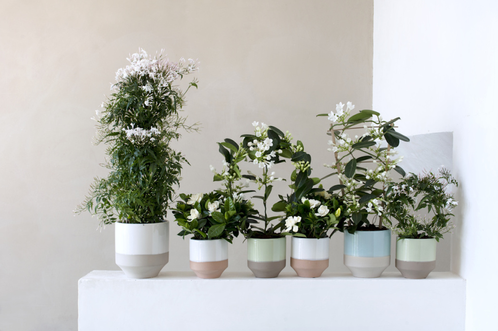 scale_1200 (4).png